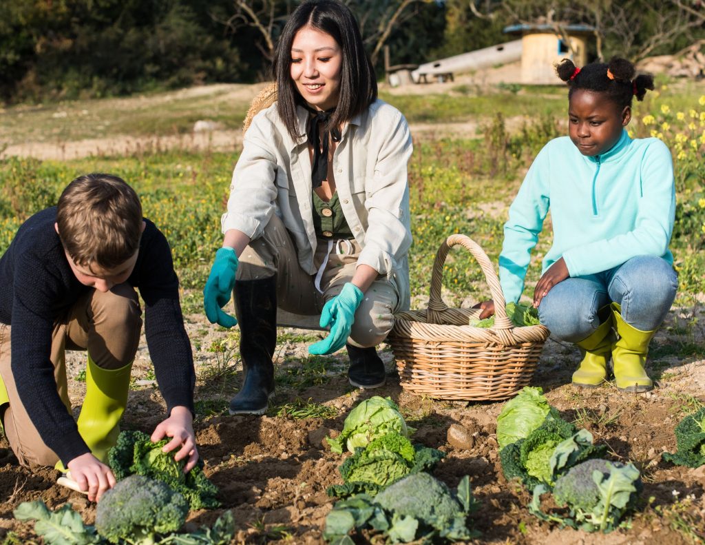 Gardening education for elementary-school aged students.