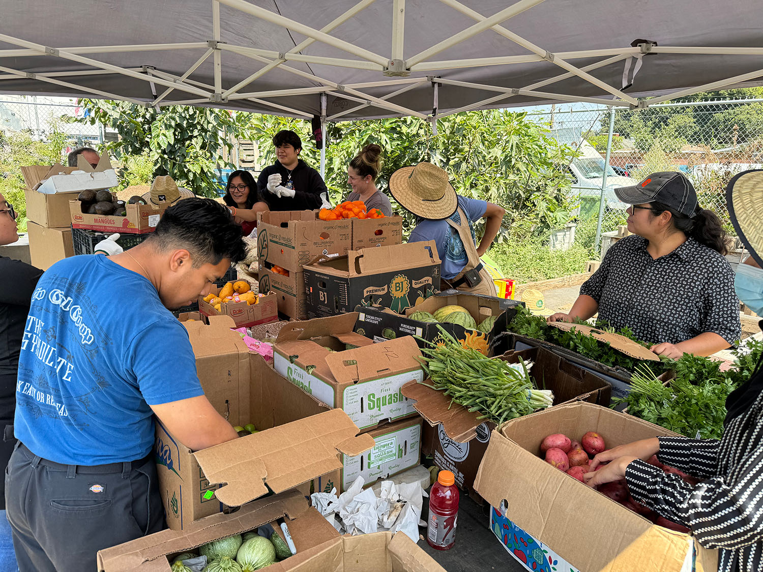 Grow2Zero Food Distribution